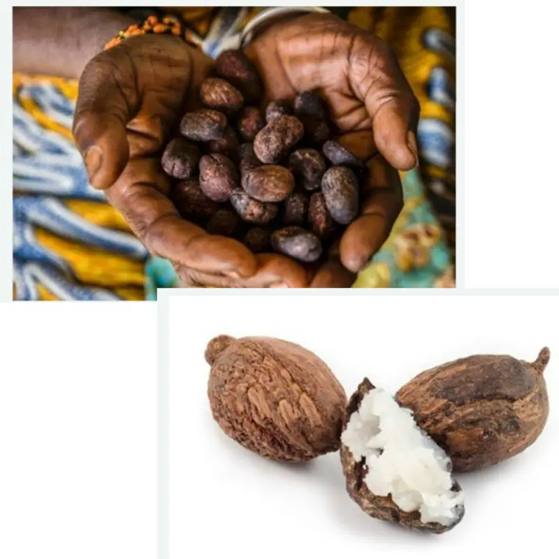 Shea Butter Organic Skin Care - Image 9